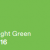3M Scotchprint Wrap Film Series 2080 - 2080-G16 Gloss Light Green