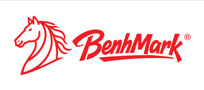 BENHMARK ECONOMY GRADE